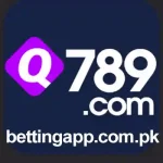 Q789 Game