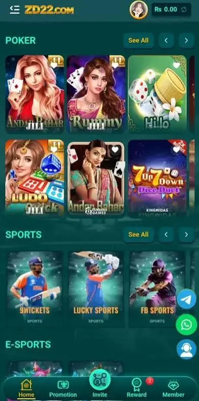 zd22 game